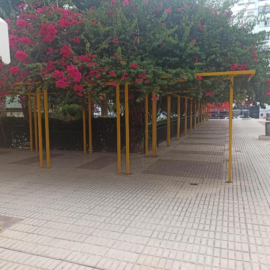 مالقة Loft Mediterraneo المظهر الخارجي الصورة
